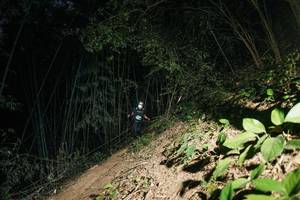 BIB: 
                            <button type="button" onclick="openModal(28106747)" class="btn btn-primary btn-sm float-right btn-popup" data-toggle="modal" data-target=".modal-high-quality">
                        <i class="fas fa-shopping-cart"></i> Add to Cart
                    </button>
                                            <button type="button" onclick="isThisMe(28106747, true)" class="btn btn-success btn-sm float-right btn-popup btn-isme hidden" data-toggle="tooltip" data-placement="bottom" title="นี่คือรูปของคุณใช่ไหม คลิกที่นี่เพื่อเอาเข้าอัลบั้ม">
                        <i class="fas fa-plus"></i> Add to album
                    </button>
                    <button type="button" onclick="isThisMe(28106747, false)" class="btn btn-warning btn-sm float-right btn-popup btn-isnotme hidden">
                        <i class="fas fa-ban"></i> Remove from album
                    </button>